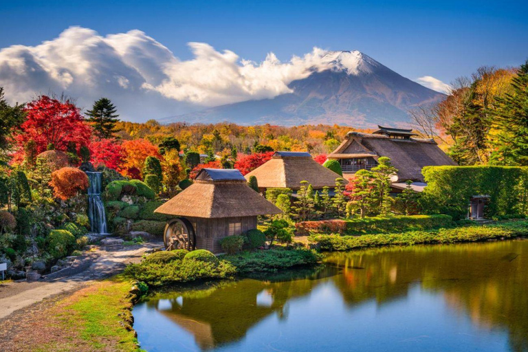 Mt Fuji Private Luxury Full-Day Tour with customization