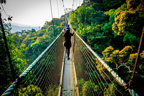 2-DAGARS SCHIMPANSSPÅRNING I NYUNGWE FOREST PARK