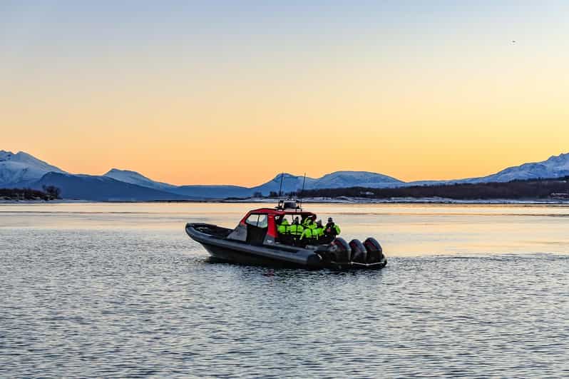 High Speed Rib Private Cruise with High Speed RIB | GetYourGuide