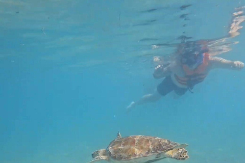 Riviera Maya: Nado con Tortugas, Cenote y Almuerzo mexicano. Riviera Maya:Nado con Tortugas, 3 Cenotes, Almuerzo Mexicano