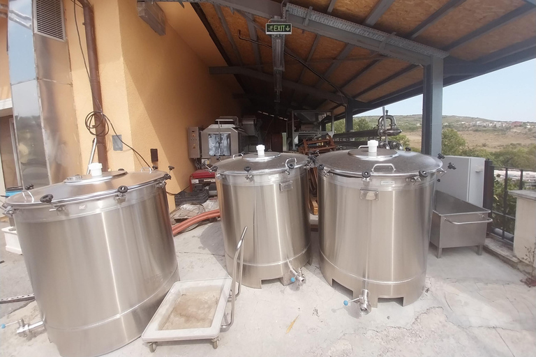 Varna: Winery Tour with Tasting & Aladzha Rock Monastery
