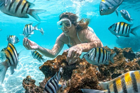 ZANZIBAR: Mnemba Island Snorkeling & Dolphin Tour with Lunch