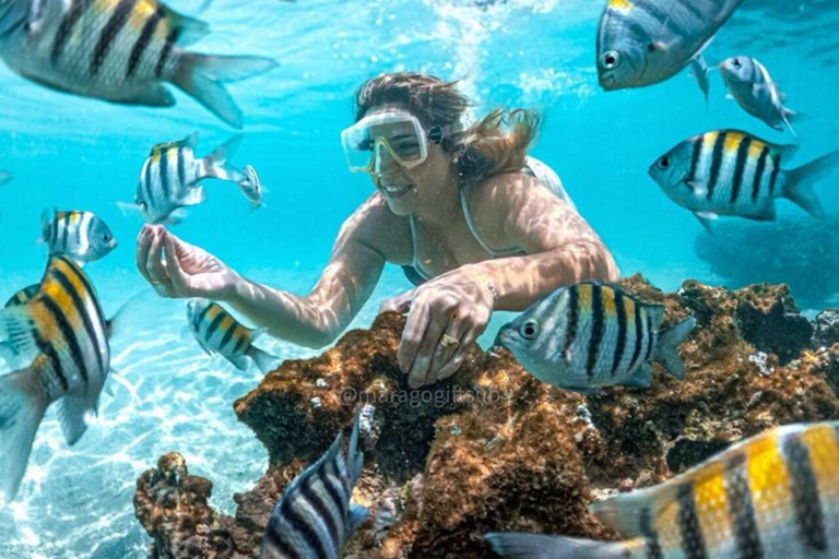 ZANZIBAR: Mnemba Island Snorkeling & Dolphin Tour with Lunch