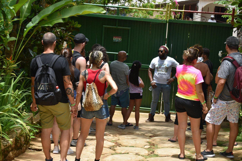 From Montego Bay: Nine Mile Reggae Journey with Island Lunch