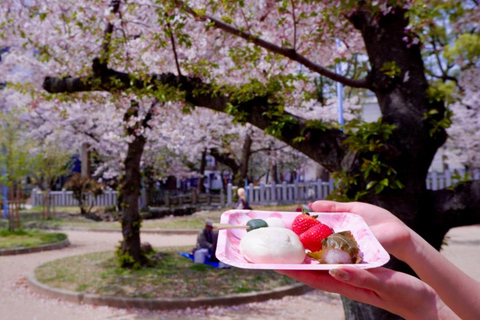 Osaka: Daytime Hanami (Cherry Blossom) and Food Tour