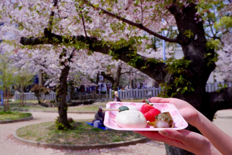 Osaka: Daytime Hanami (Cherry Blossom) and Food Tour