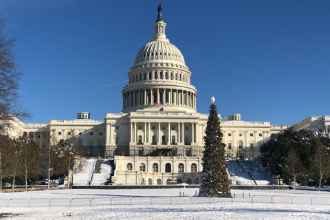 Washington DC: Tour Privado con Vehículo de LujoVisita privada a Washington DC