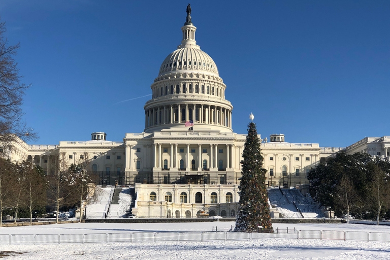 Washington DC: Tour Privado com Veículo de LuxoTour Privado em Washington DC