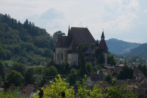 Transylvania 4-Day Tour: Castles, Bears & UNESCO