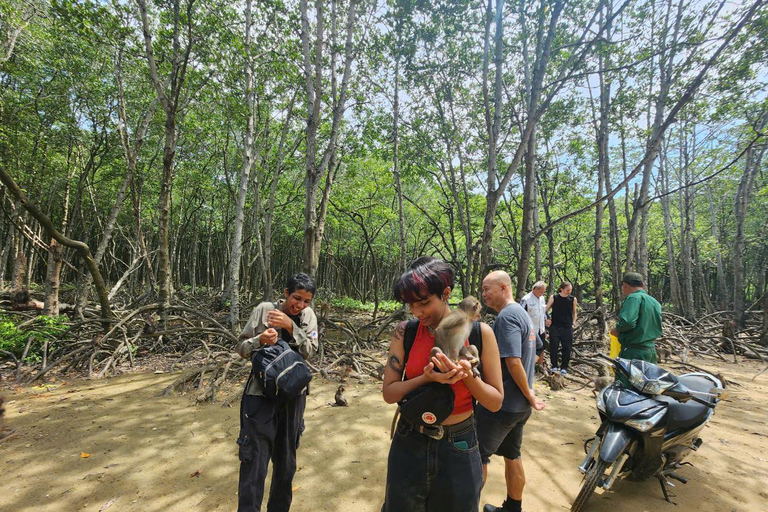 Excursão de 1 dia à floresta de mangue de Can Gio e à Ilha dos Macacos