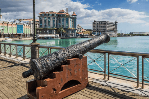 Mauritius: North Tour with Tea Tasting & Oceanarium Entry