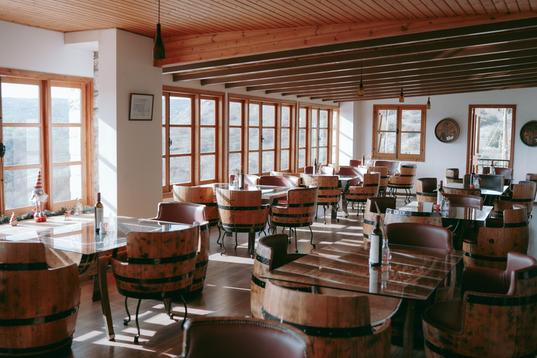 Paphos: Wine and Halloumi Tasting Tour with Pickup