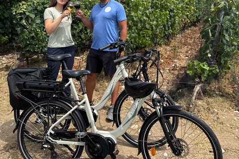 Small Group Guided E-Bike Tour in Nice’s Organic Vineyard