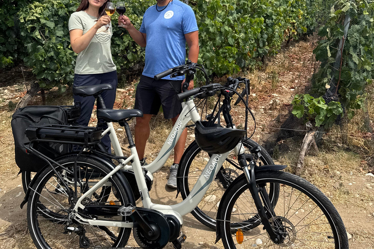 Small Group Guided E-Bike Tour in Nice’s Organic Vineyard