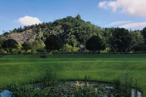 Chenshan Botanical Garden Entry Ticket
