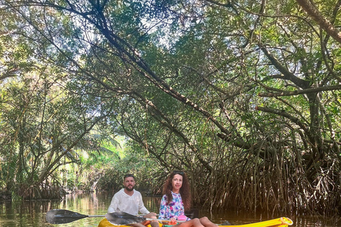 Hikkaduwa: Geführte Kajaktour durch die Rathgama-Lagune