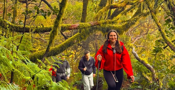 Anaga Mountains & Enchanted Forest, Tenerife Hiking Tour