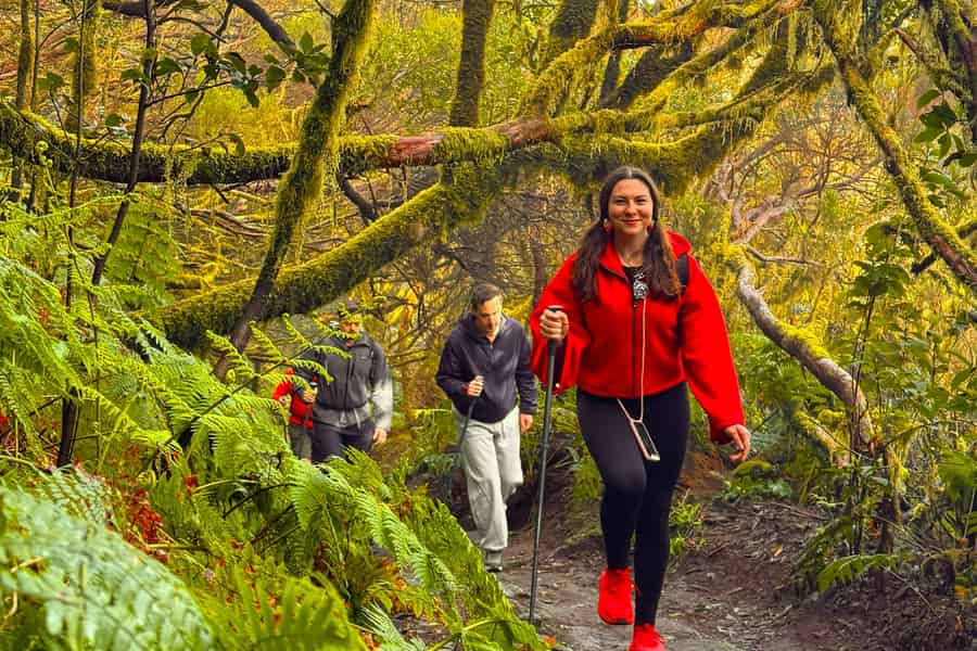 Anaga Mountains und Zauberwald: Wandertour auf Teneriffa. Foto: GetYourGuide