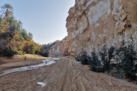 Hammamet: a trip around Cap Bon and Nabeul