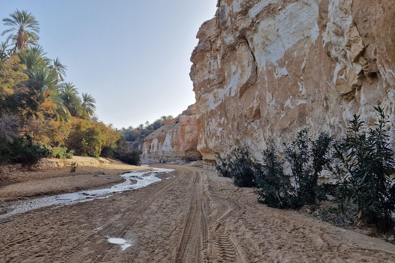 Hammamet: a trip around Cap Bon and Nabeul