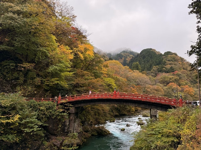 Tokyo : Nikko Wolrd Heritage’s Full Day lowest Price Tour