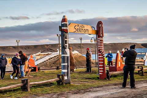 Punta Arenas: Full Day Tierra del Fuego & King Penguins