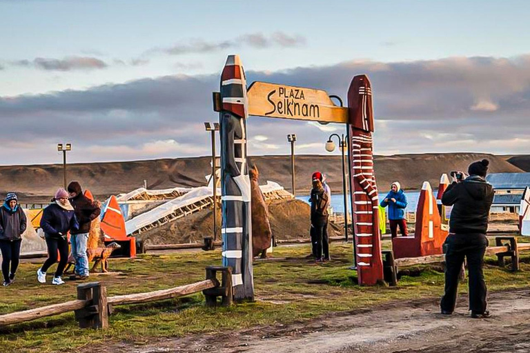 Punta Arenas: Full Day Tierra del Fuego & King Penguins