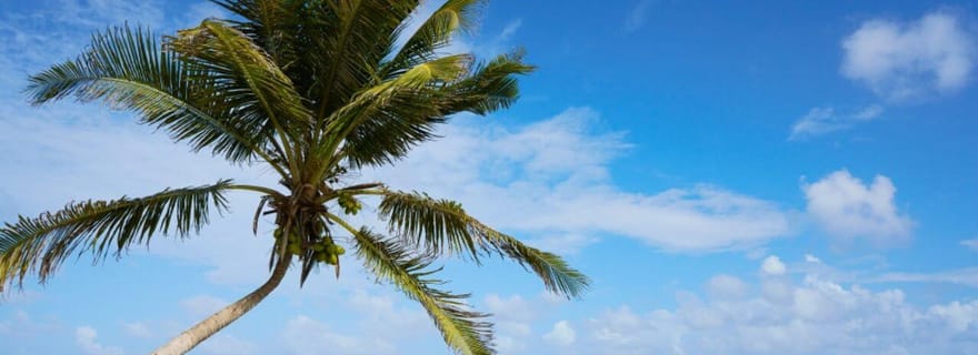 Escapade tout compris sur la plage de Costa Maya avec open bar