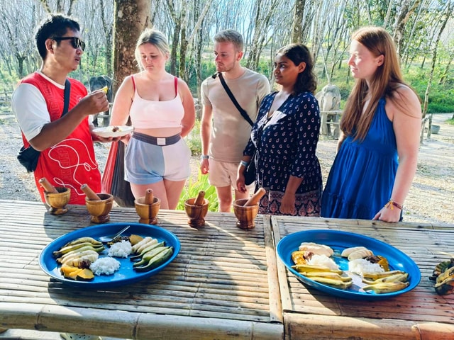 Khaolak Ethical Elephant Sanctuary Snack Making & Feeding