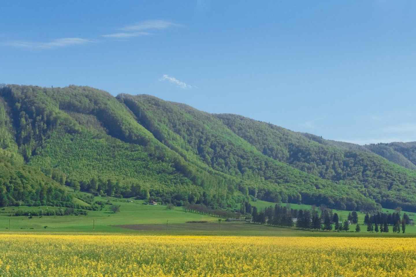 Brasov: Gita Privata a Sighisoara e Viscri