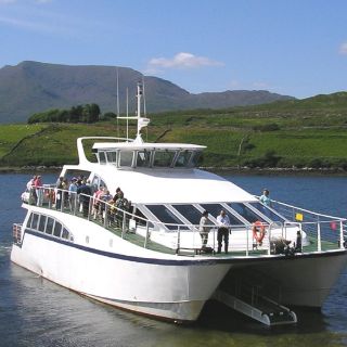 Cruzeiro turístico de 1,5 horas no Condado de Galway Killary Fjord