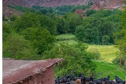 Marrakech: ourika valley & lunch & guided hike to waterfalls