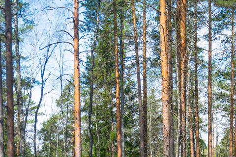 Nuuksio Nationaal Park wandelervaring vanuit Helsinki