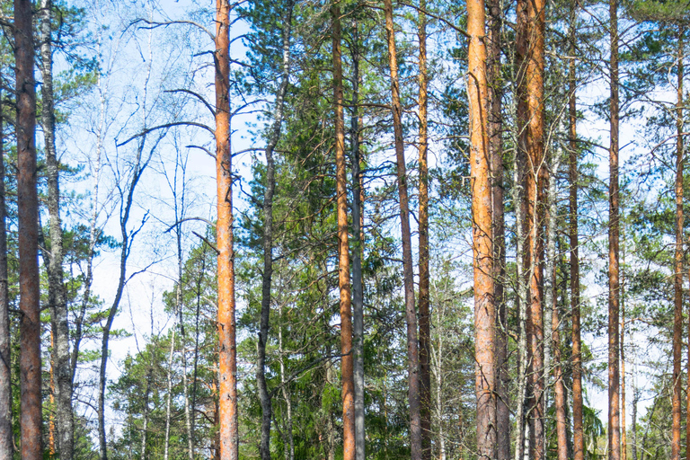 Wandererlebnis im Nuuksio-Nationalpark von Helsinki aus