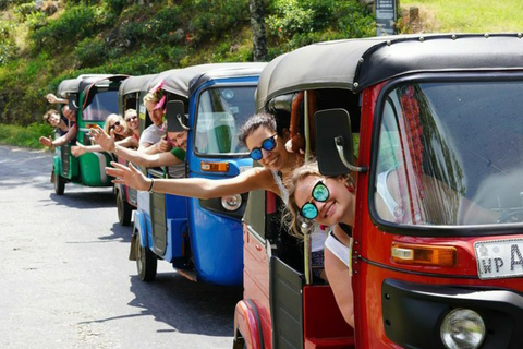 Kandy City Tour: Private Guided Tour of the City by Tuk-Tuk