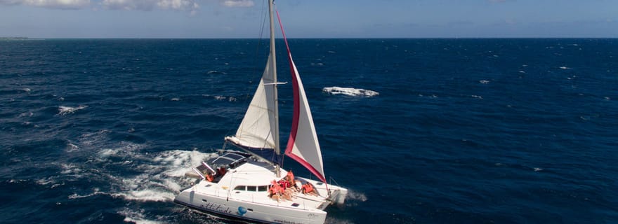 Croisière de luxe en catamaran d'une journée vers les îles du Nord avec déjeuner