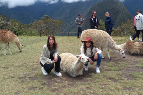 Excursão de 1 dia a Machupicchu com entrada para o Circuito 3 ou 4EXCURSÃO DE 1 DIA A MACHUPICCHU COM ENTRADA PARA OS CIRCUITOS 3 E 4