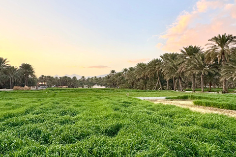 Nizwa, Al Hamra & Misfat Al Abriyeen: Guided tour in German.