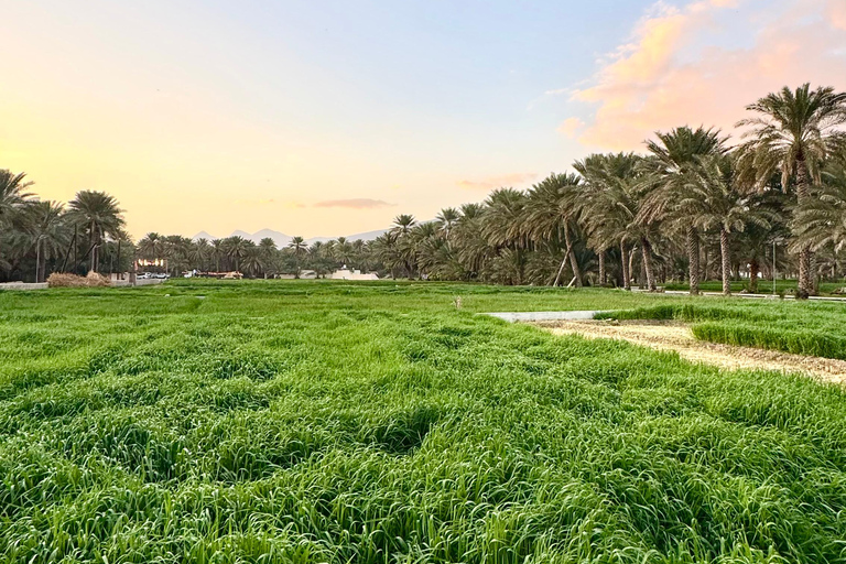 Nizwa, Al Hamra & Misfat Al Abriyeen: Guided tour in German.