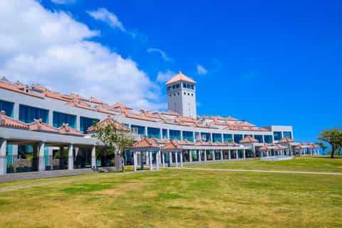 Okinawa WWII History & Hacksaw Ridge Private Tour - Image 3