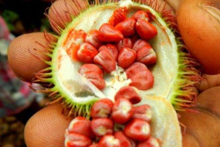 Zanzibar: Spice Farm & Stone Town Cultural Tour Tour without hotel transfer; all entry tickets included.