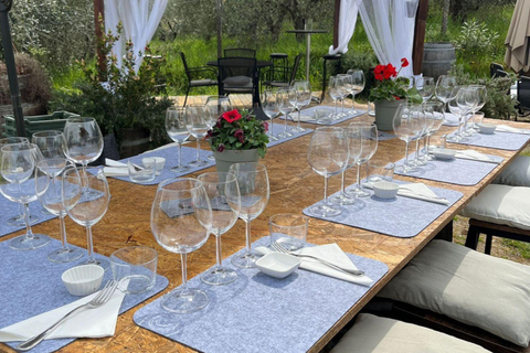 Soiana: tour dei vigneti e della cantina con degustazione di vini vicino a PisaInglese