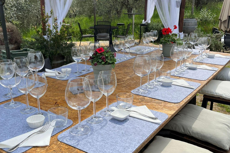 Soiana: tour dei vigneti e della cantina con degustazione di vini vicino a PisaInglese