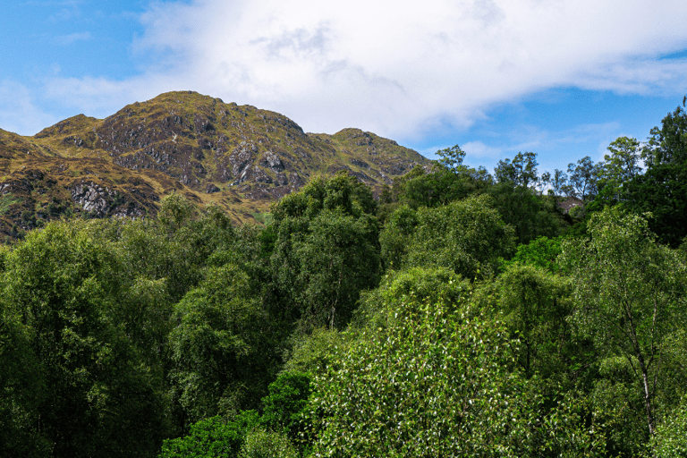 Tour in auto del Parco Nazionale di Loch Lomond e Trossachs con un&#039;appTour di Loch Lomond