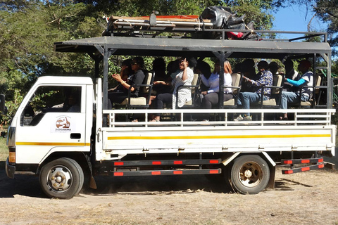 Livingstone: Zambezi Drift + Lunch + Baobab + Croc Farm