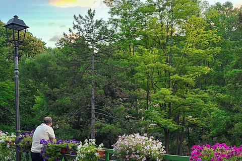 From Sarajevo: Travnik, Jajce, and Pliva Lake Private Tour