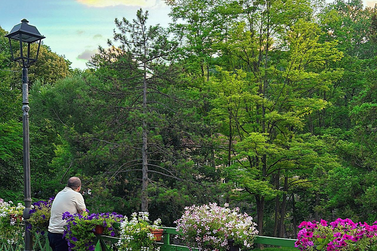 From Sarajevo: Travnik, Jajce, and Pliva Lake Private Tour