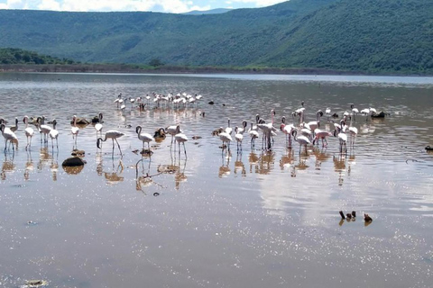 Nairobi: Lake Bogoria Canoe and Birdwatching Tour