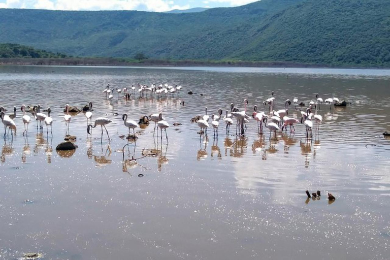 Nairobi: Lake Bogoria Canoe and Birdwatching Tour