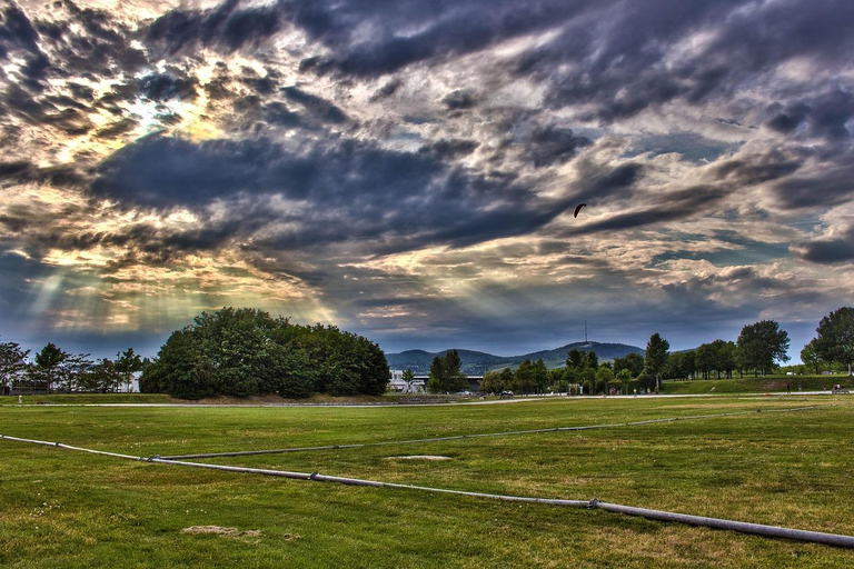 Vienna: Urban Birding – Guided bird watching tour in the big city!